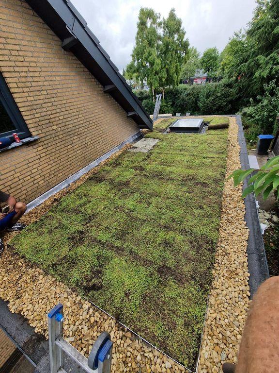  Een plat dak volledig bedekt met een groen sedumtapijt en een omlijsting van grind, inclusief een dakraam.